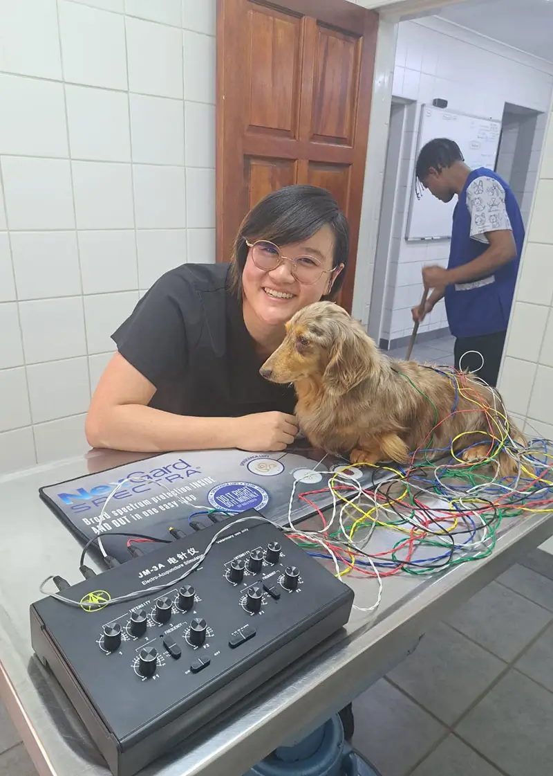 Acu4Pets